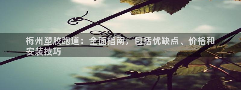 谈球吧咋样：梅州塑胶跑道：全面指南，包括优缺点、价格和
安装技巧