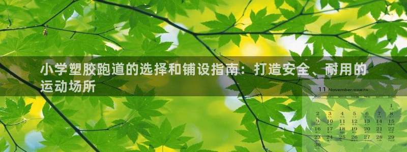 谈球吧入口：小学塑胶跑道的选择和铺设指南：打造安全、