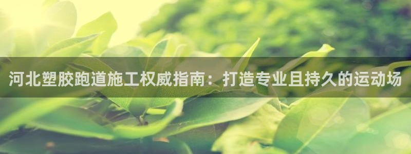 谈球吧在线登录