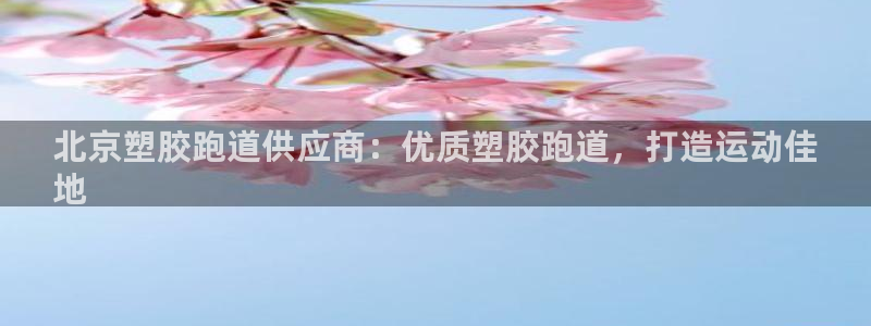 谈球吧体育app下载足球直播：北京塑胶跑道供应商：优质塑胶跑道，打造运动佳
地