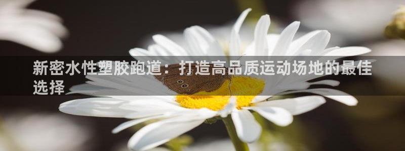 谈球吧app靠谱吗：新密水性塑胶跑道：打造高品质运动场地的最佳
选择